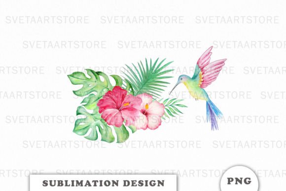 Download Watercolor Tropic Hummingbird Png - Hummingbird Collection