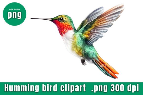 Download Illustrations Hummingbird - Hummingbird Collection